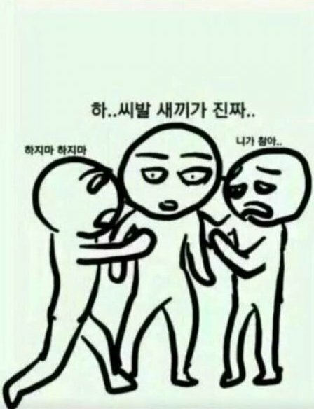 다헤어 이미지