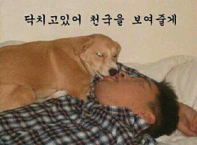 어디야 이미지