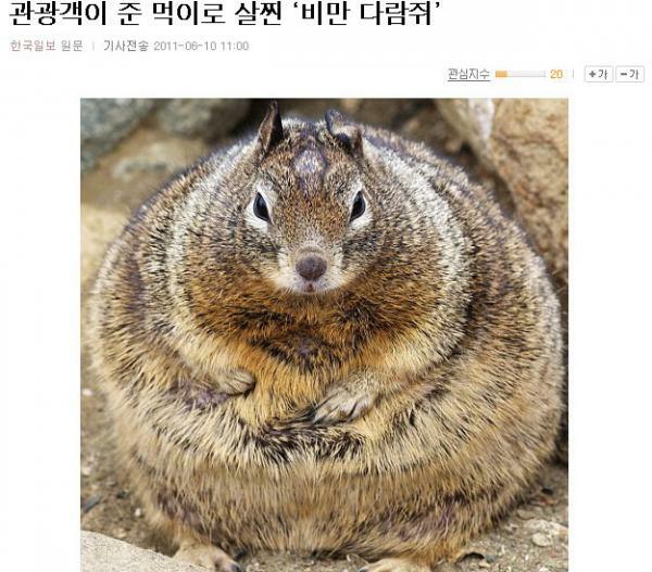 라무야 이미지