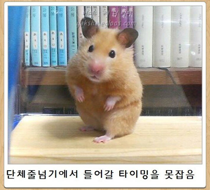 원본 크기로 보시려면 그림을 클릭하세요.