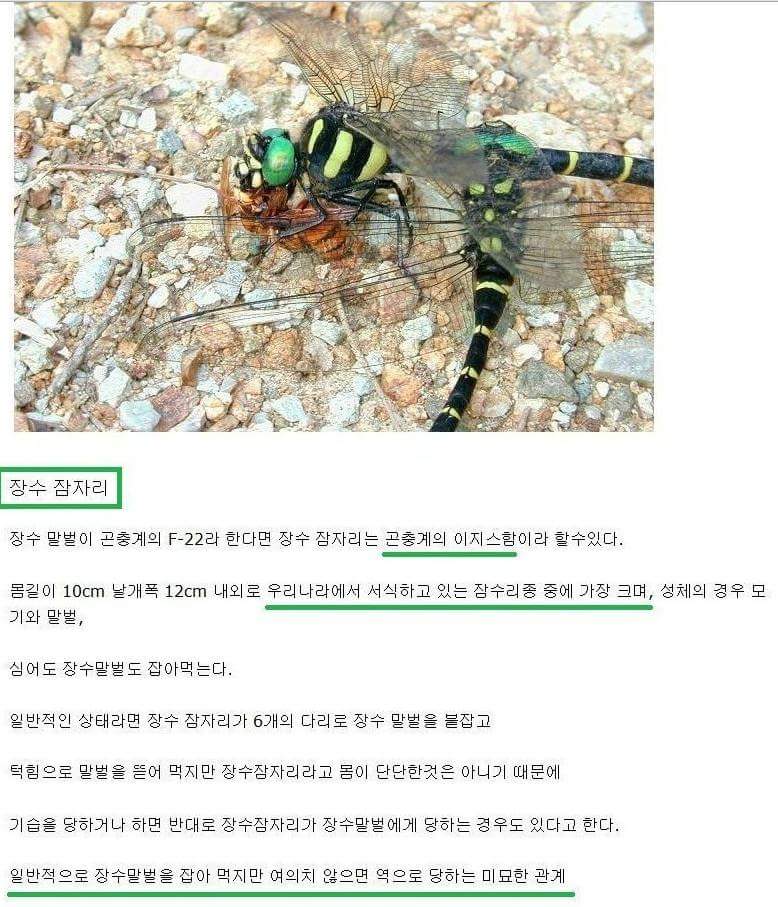 원본 크기로 보시려면 그림을 클릭하세요.