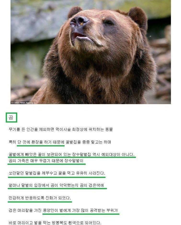 원본 크기로 보시려면 그림을 클릭하세요.