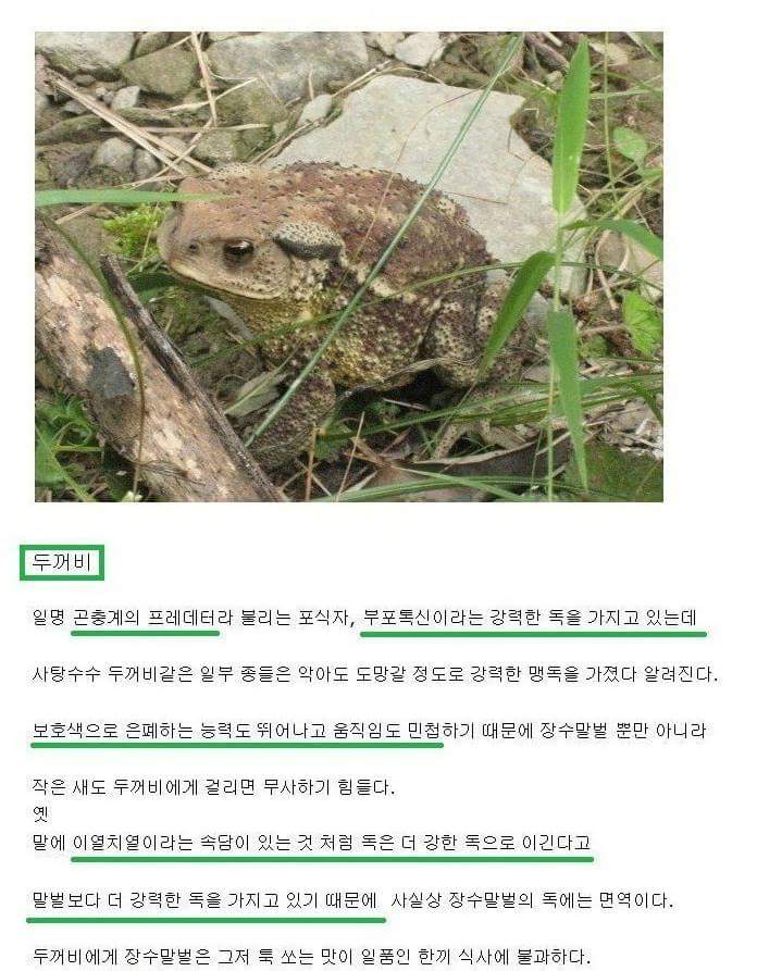 원본 크기로 보시려면 그림을 클릭하세요.