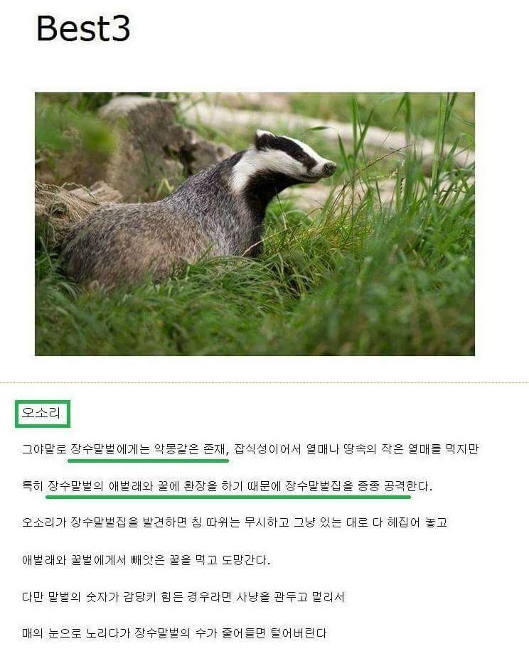 원본 크기로 보시려면 그림을 클릭하세요.