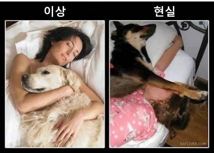 원본 크기로 보시려면 그림을 클릭하세요.