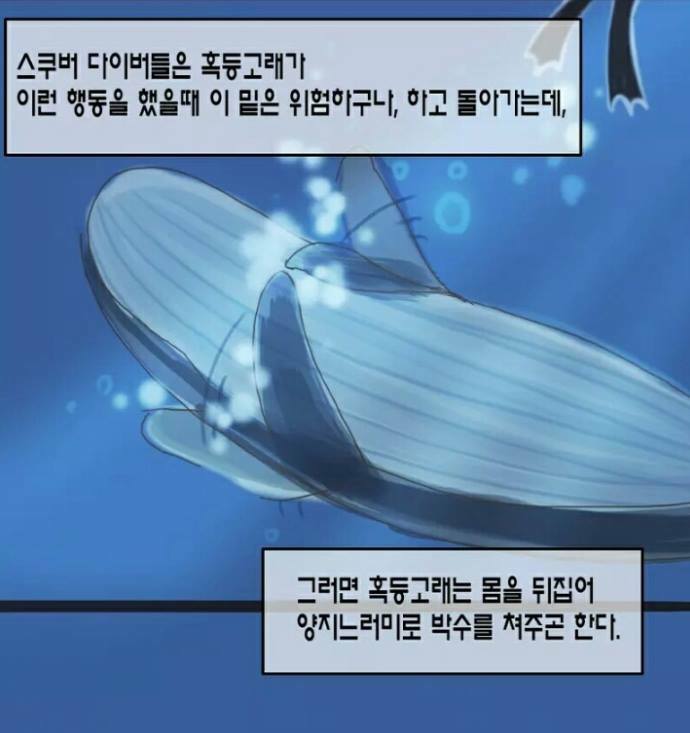 원본 크기로 보시려면 그림을 클릭하세요.