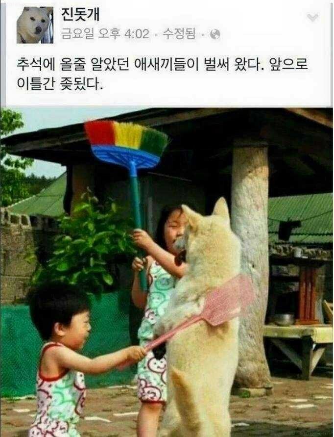 원본 크기로 보시려면 그림을 클릭하세요.