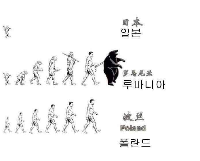 원본 크기로 보시려면 그림을 클릭하세요.