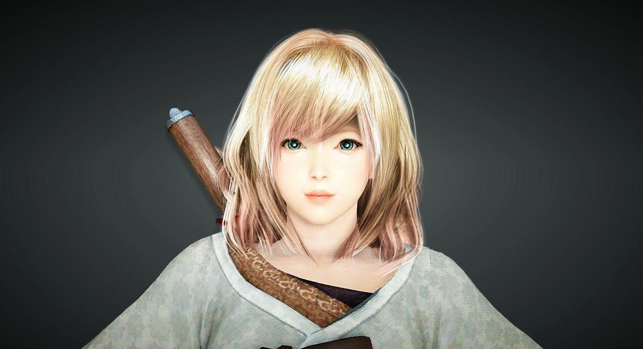 how to install black desert online character template