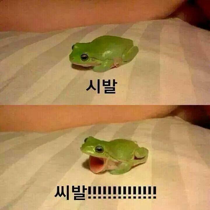 지2 이미지