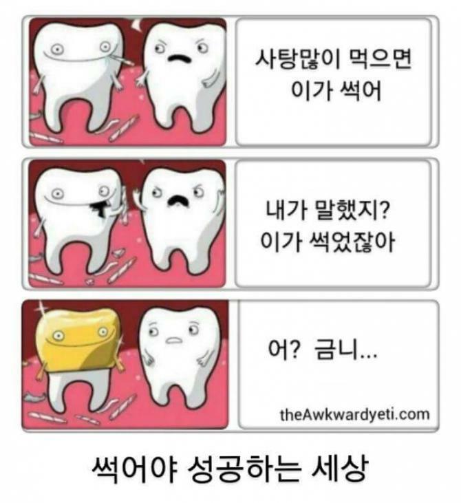 원본 크기로 보시려면 그림을 클릭하세요.