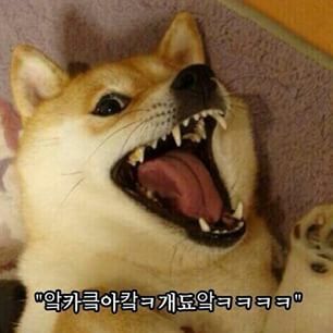 밥도둑 이미지