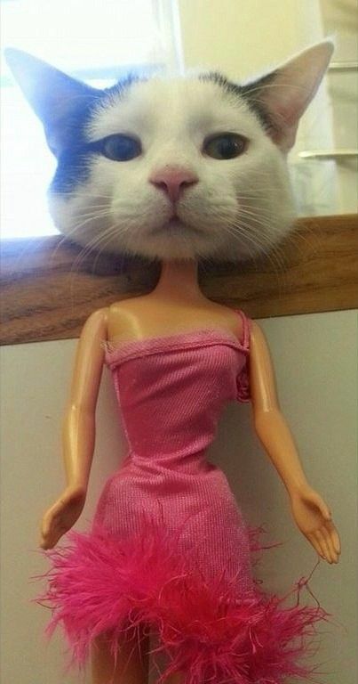 어두컴컴 이미지