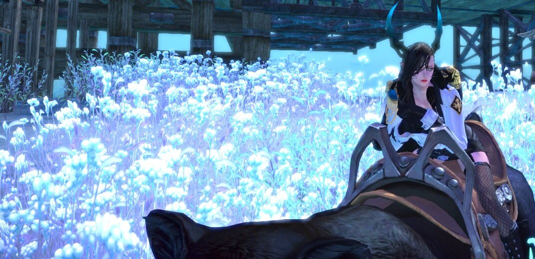 테라(TERA) 인벤 : 베니힐링이 있었다면... - 테라 인벤 자유게시판 테라(TERA) 인벤 : 베니힐링이 있었다면...