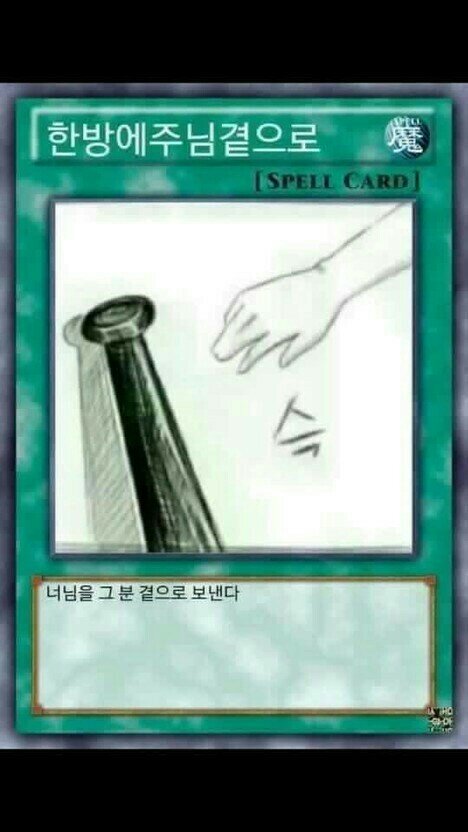 팀보 이미지