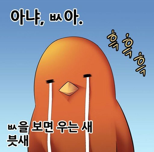 멋진걸 이미지