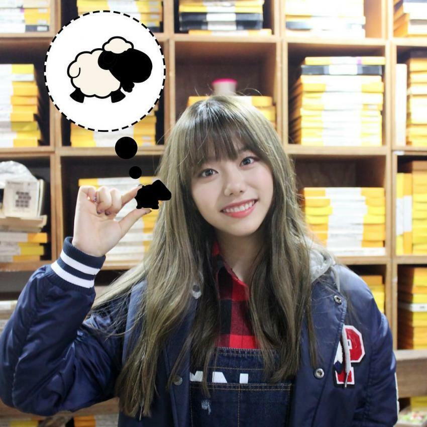 방가방가 이미지