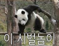 메이지 이미지