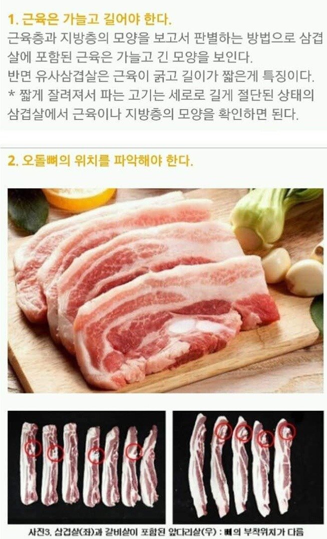 원본 크기로 보시려면 그림을 클릭하세요.