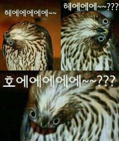 콘박스 이미지