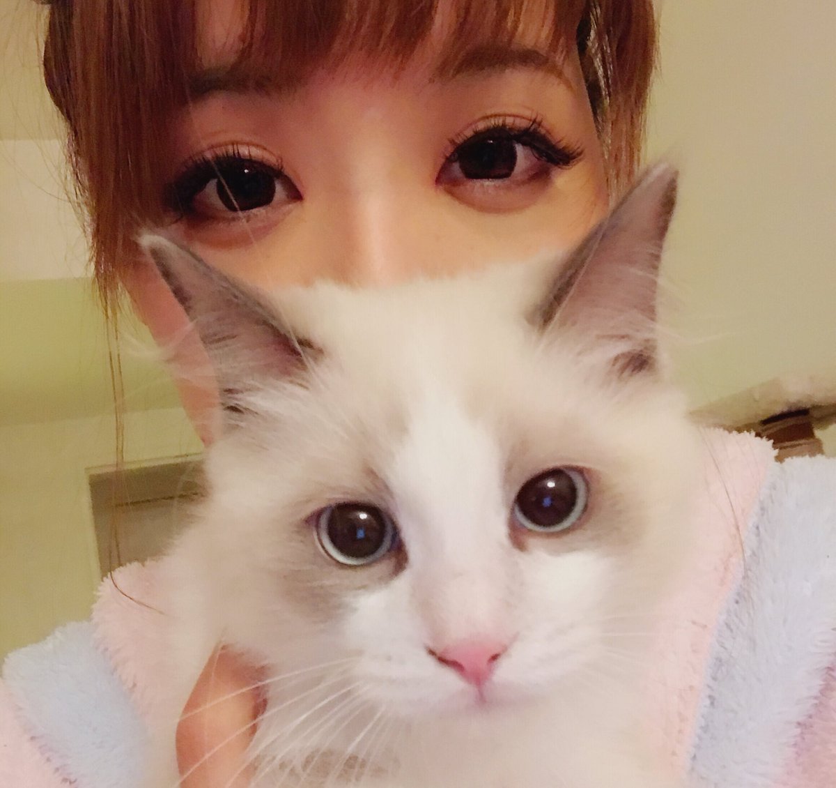 리온 이미지