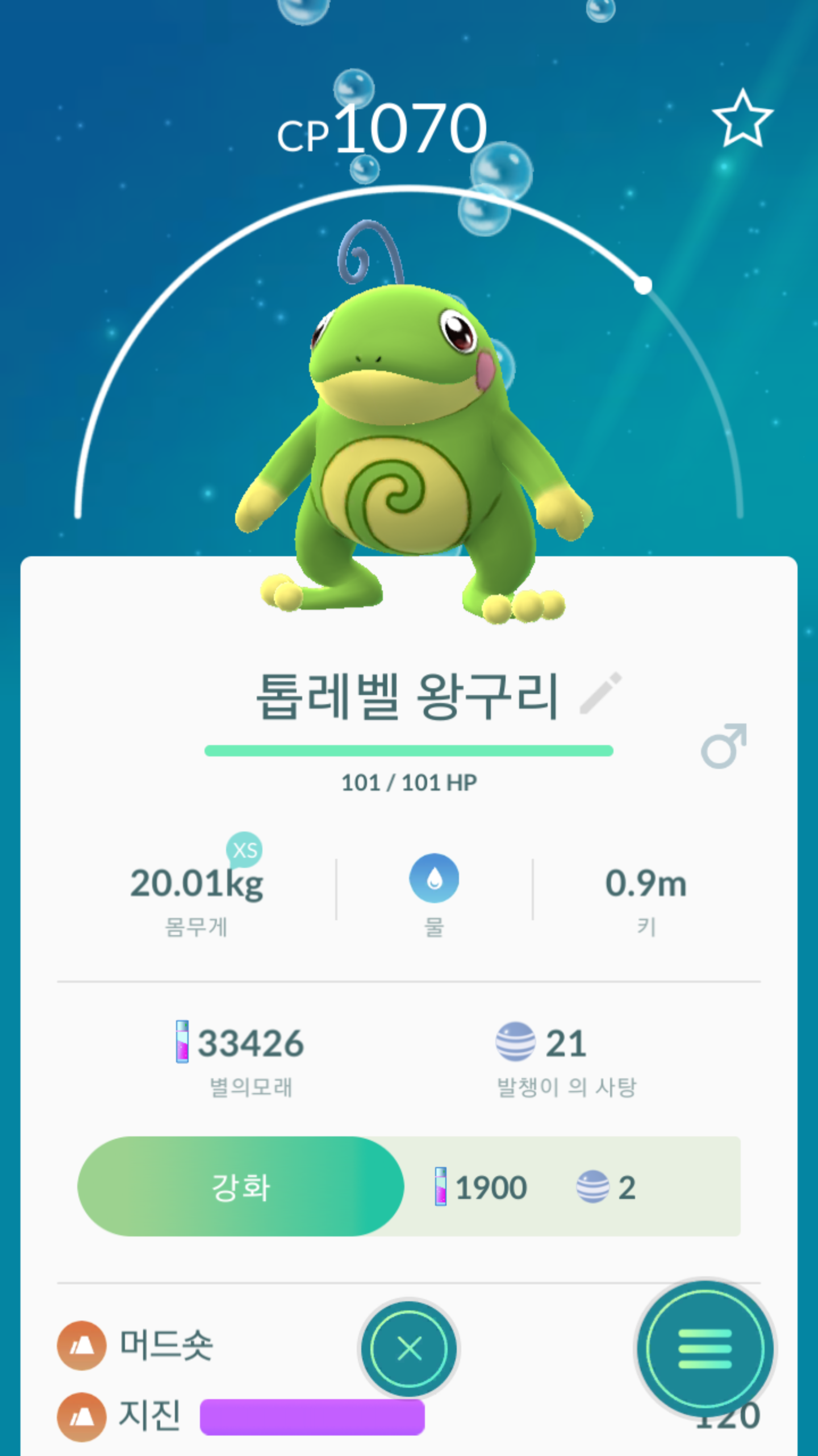 포켓몬 GO 인벤 : 이건또 뭐지 ㅋㅋ 땅땅 왕구리 - 포켓몬GO 인벤 게시판 포켓몬 GO 인벤 : 이건또 뭐지 ㅋㅋ 땅땅 왕구리