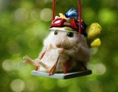이김 이미지