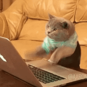 i15655568891.gif