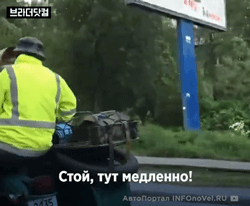 i15691284151.gif