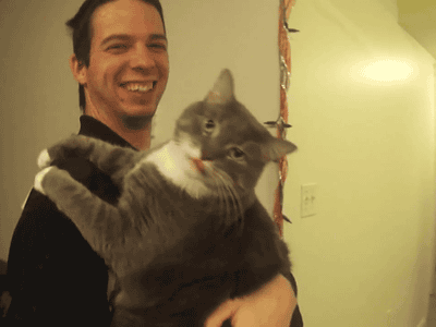 i13139346310.gif