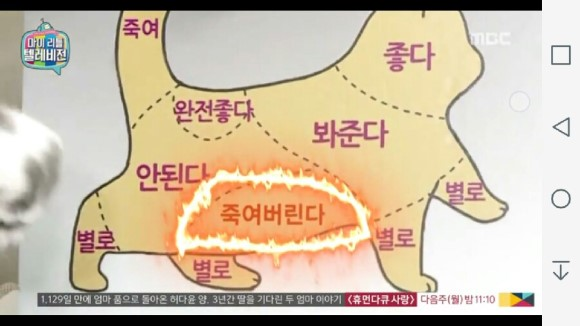 쎄짐 이미지