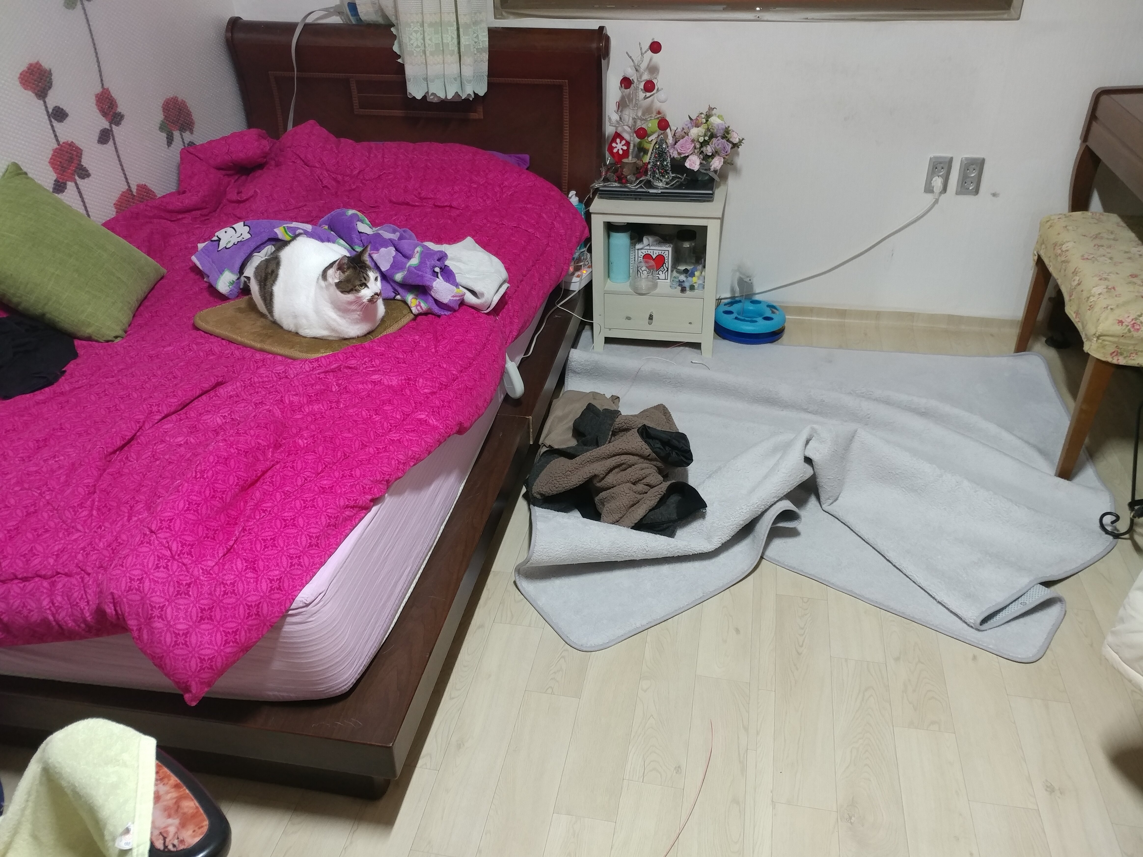 디아블로3 인벤 : 하늘이가 신났었나봐요 - 디아블로3 인벤 자유게시판 디아블로3 인벤 : 하늘이가 신났었나봐요