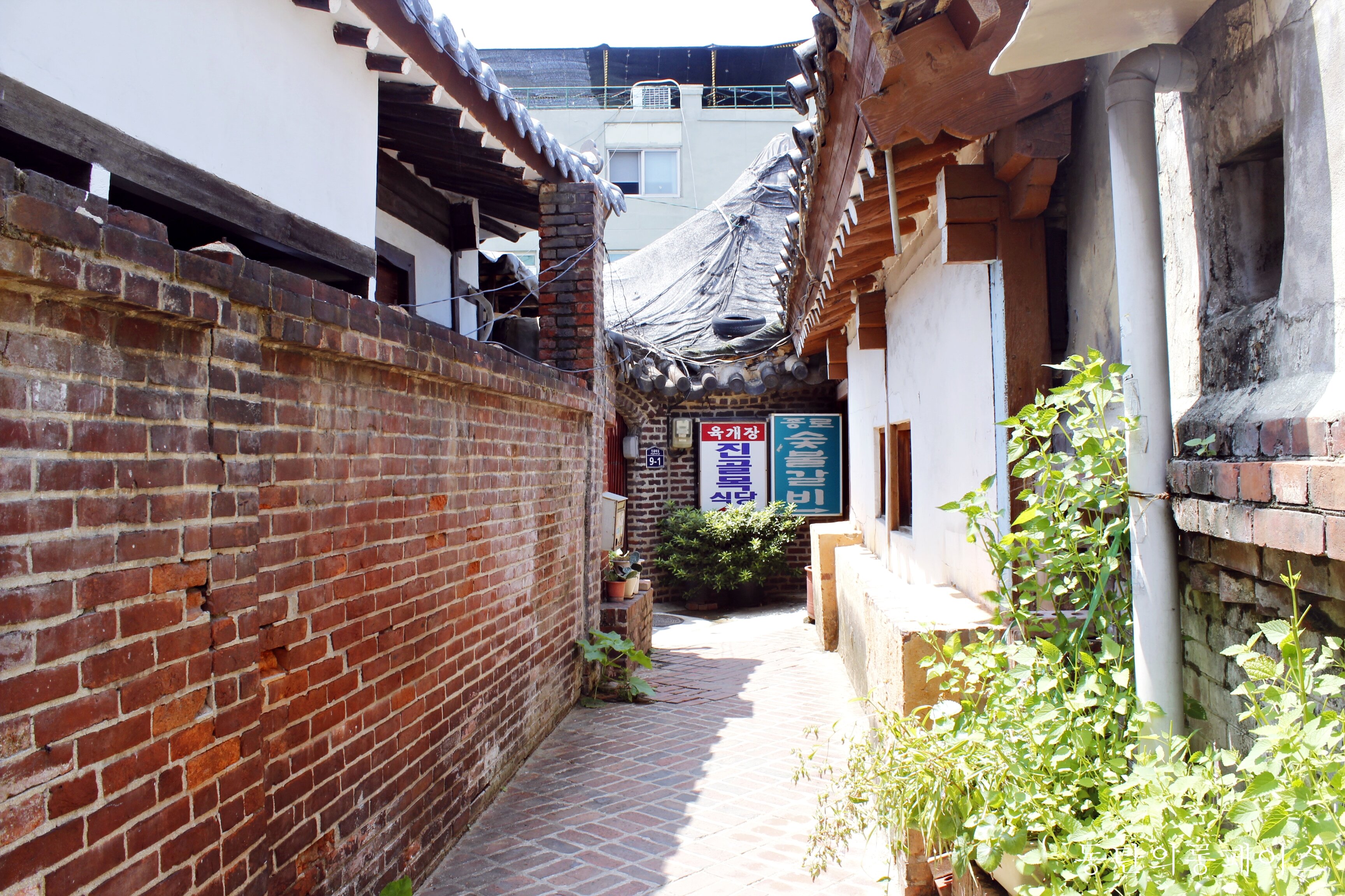골목식당을 보면서 느낌점 - 오픈이슈갤러리 - 인벤 골목식당을 보면서 느낌점 - 오픈이슈갤러리