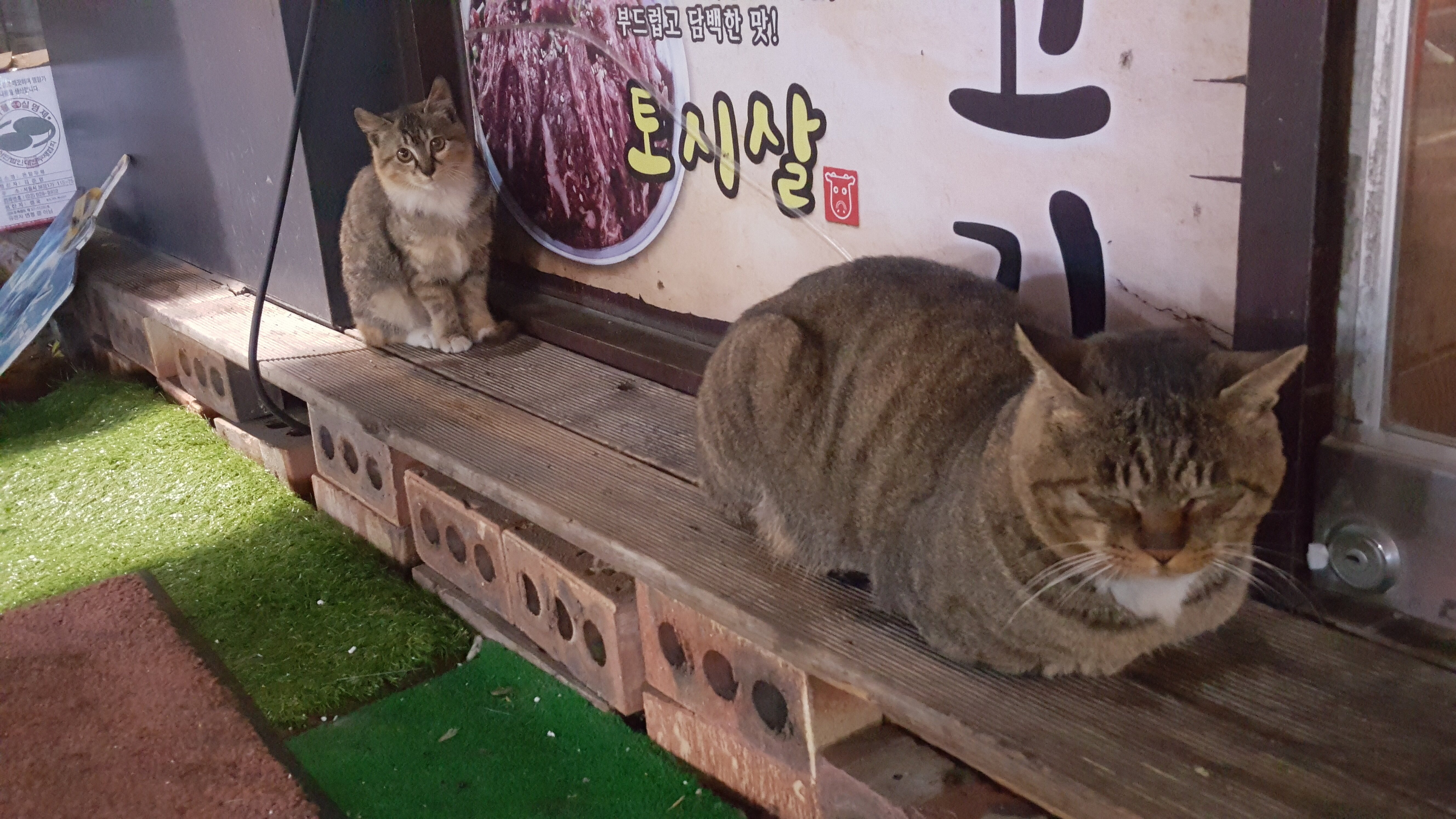 내 가게가 영업방해를 받고있습니다.. | 오버워치 인벤