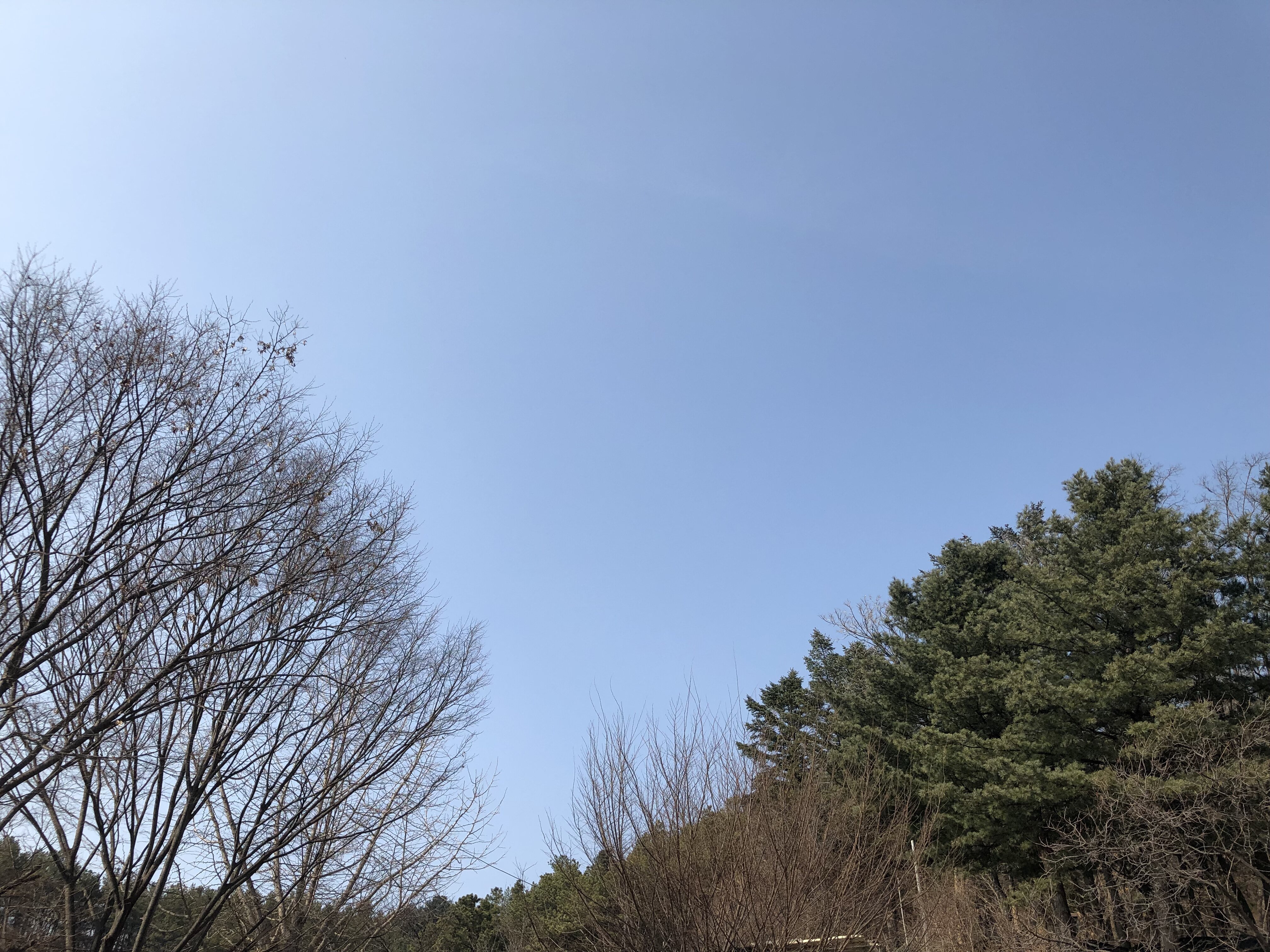 즈기요 여기가 감자국이드래요 - 디아블로3 인벤 자유게시판 - 디아블로3 인벤 즈기요 여기가 감자국이드래요 - 디아블로3 인벤 자유게시판