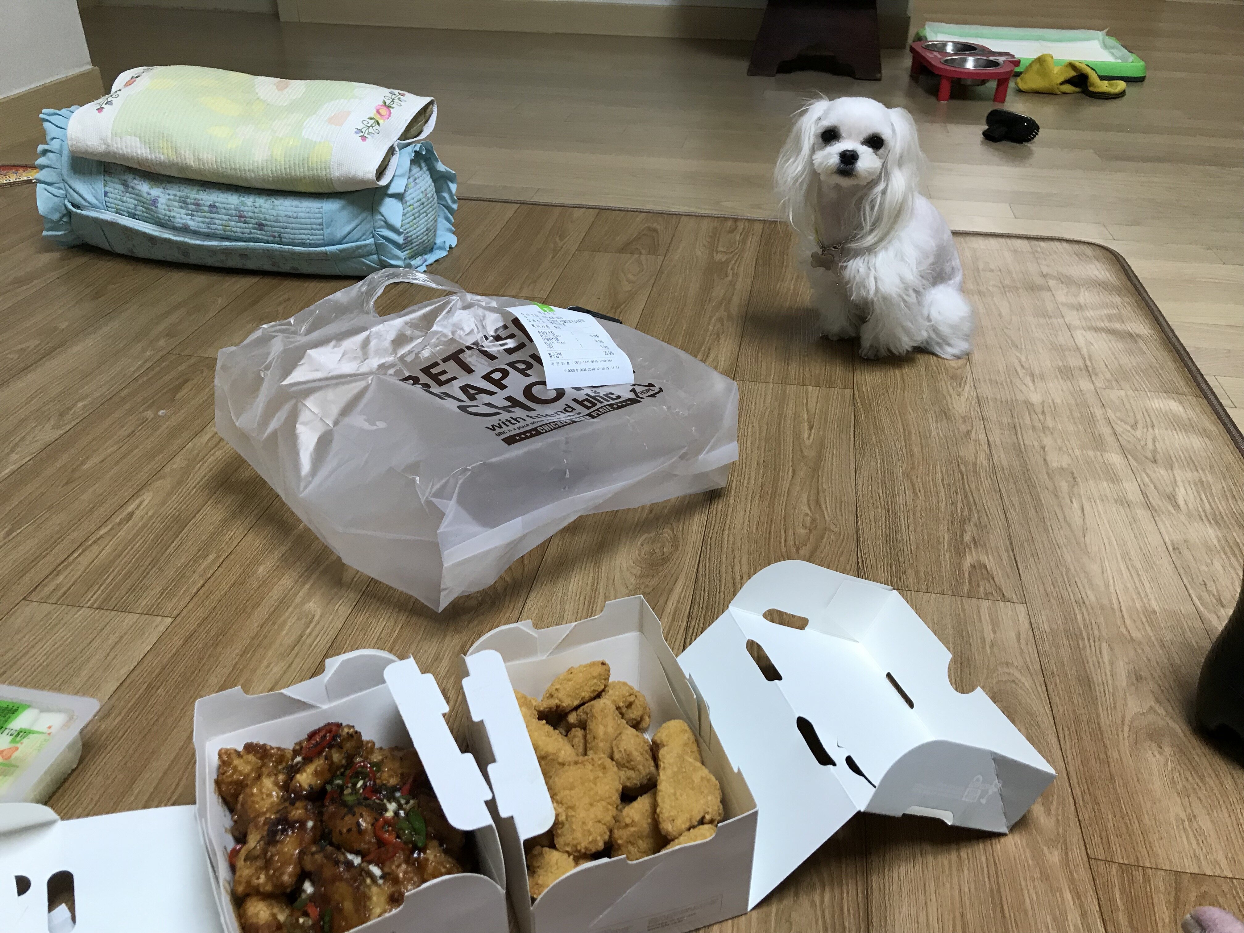 솔직히 감자튀김도 맘스가 더갓아니냐? | 오버워치 인벤