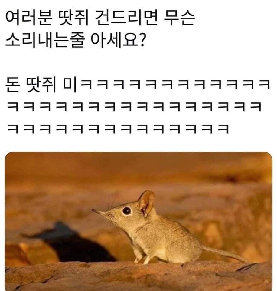 세상에서 가장 착한 사자는??? | 메이플 인벤