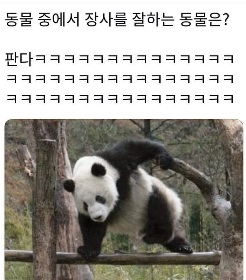 세상에서 가장 착한 사자는??? | 메이플 인벤