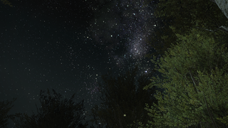 갤러리 프리뷰 이미지