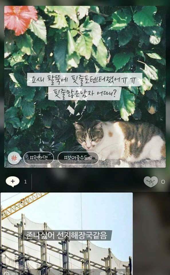 리그오브레전드 인벤 : 모씨 답정너 퇴치.jpg - LOL 인벤 자유 게시판 모씨 답정너 퇴치.jpg