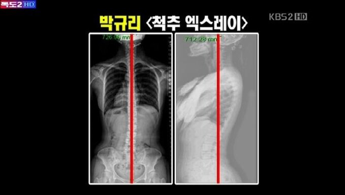 카라피시방 이미지