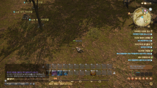 갤러리 프리뷰 이미지