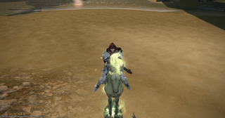 갤러리 프리뷰 이미지