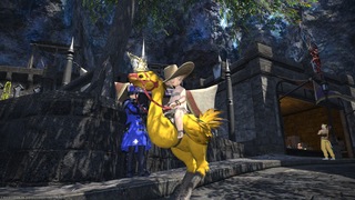 갤러리 프리뷰 이미지