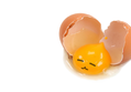 날달걀~ 리얼 에그링~