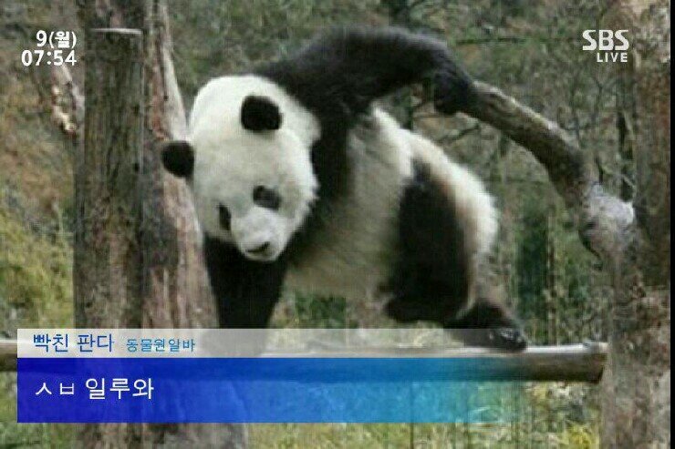 월드 오브 워크래프트 인벤 : 군단 기다려라 풍운이간다 - 와우 인벤 확장팩 통합 전장 게시판 군단 기다려라 풍운이간다