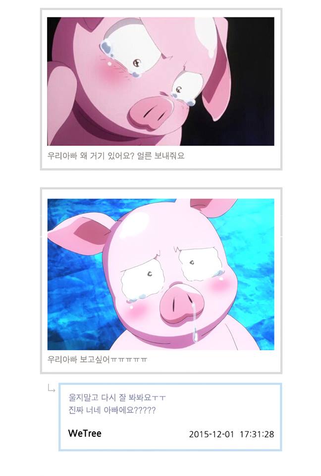 웹진 인벤 : 사연쓰면 스팸을 주는데 돼지가 옴 - 오픈이슈갤러리 사연쓰면 스팸을 주는데 돼지가 옴