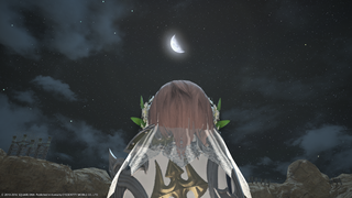 갤러리 프리뷰 이미지