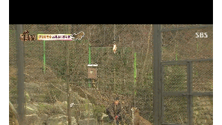 갤러리 프리뷰 이미지