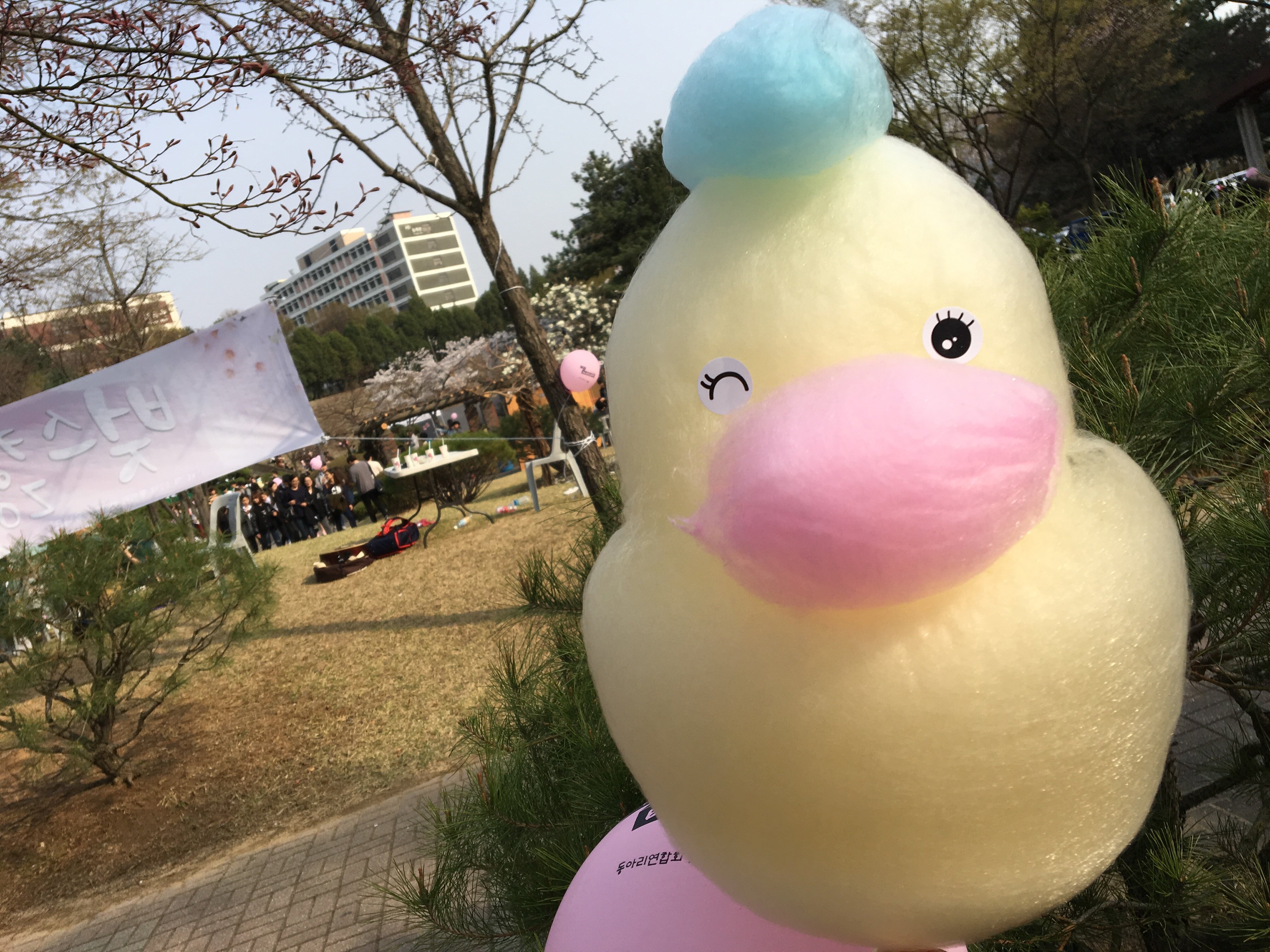 리그오브레전드 인벤 : 구글에 오리솜사탕 쳐봤는데 충격머거써 - LoL 인벤 자유 주제 게시판 구글에 오리솜사탕 쳐봤는데 충격머거써